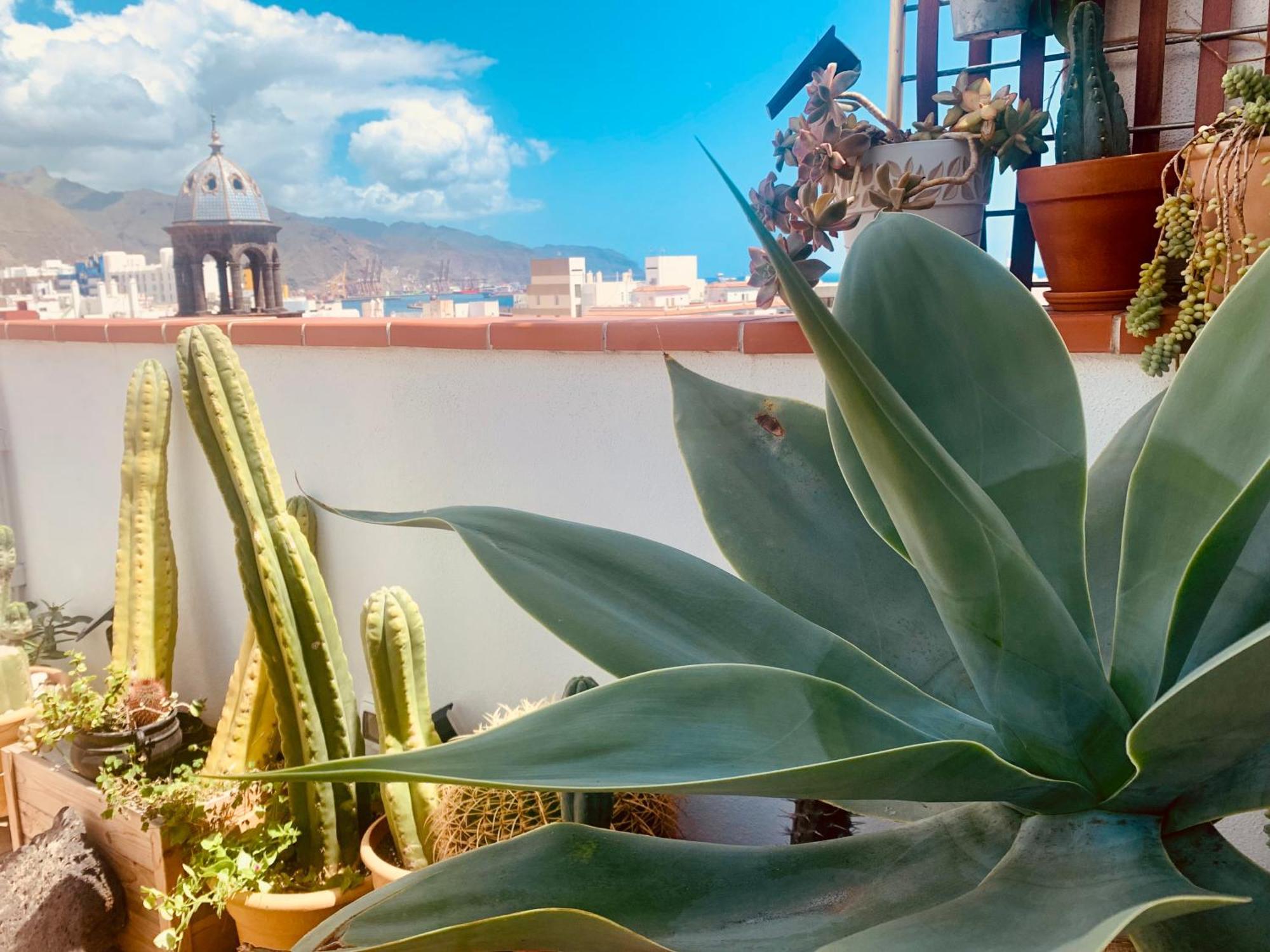 Atico Con Terraza, Vistas Panoramicas Y Parking Santa Cruz de Tenerife Exterior foto