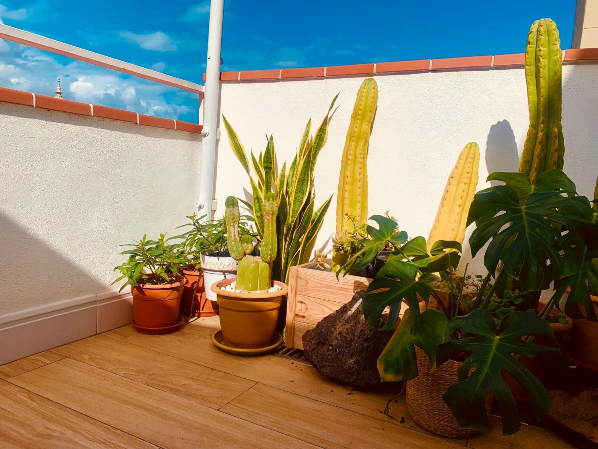 Atico Con Terraza, Vistas Panoramicas Y Parking Santa Cruz de Tenerife Exterior foto